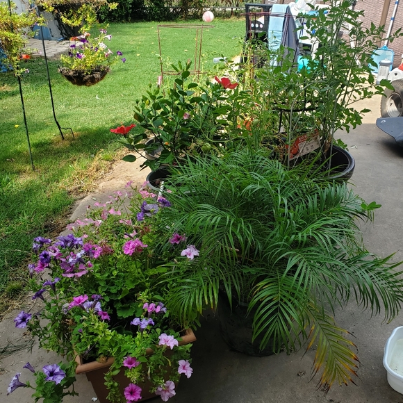 Meet your Posher, Alexandra - Picture 12 of 16